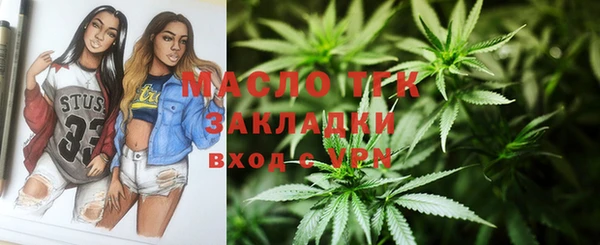 apvp Вяземский